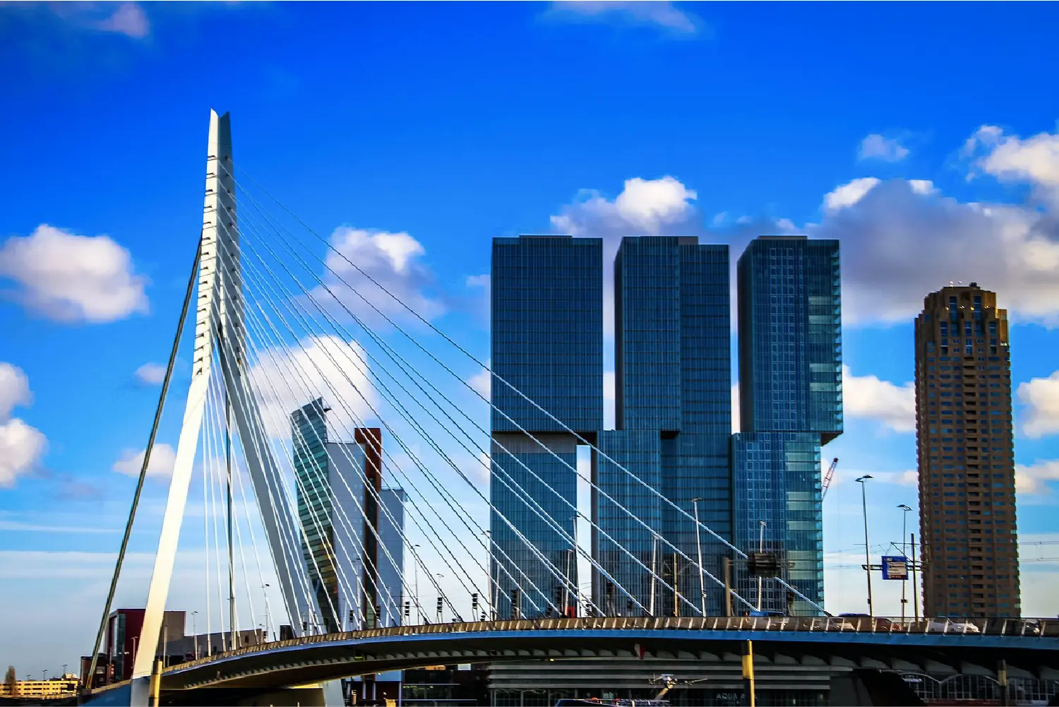 Walking Tour Rotterdam